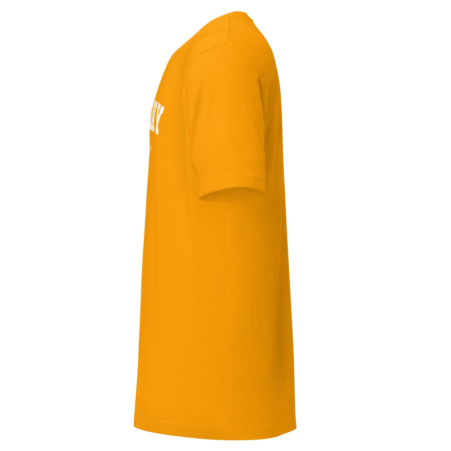 Game Day Tee